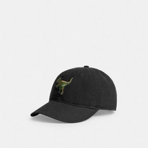 Мужские кепки Coach Rexy Patch