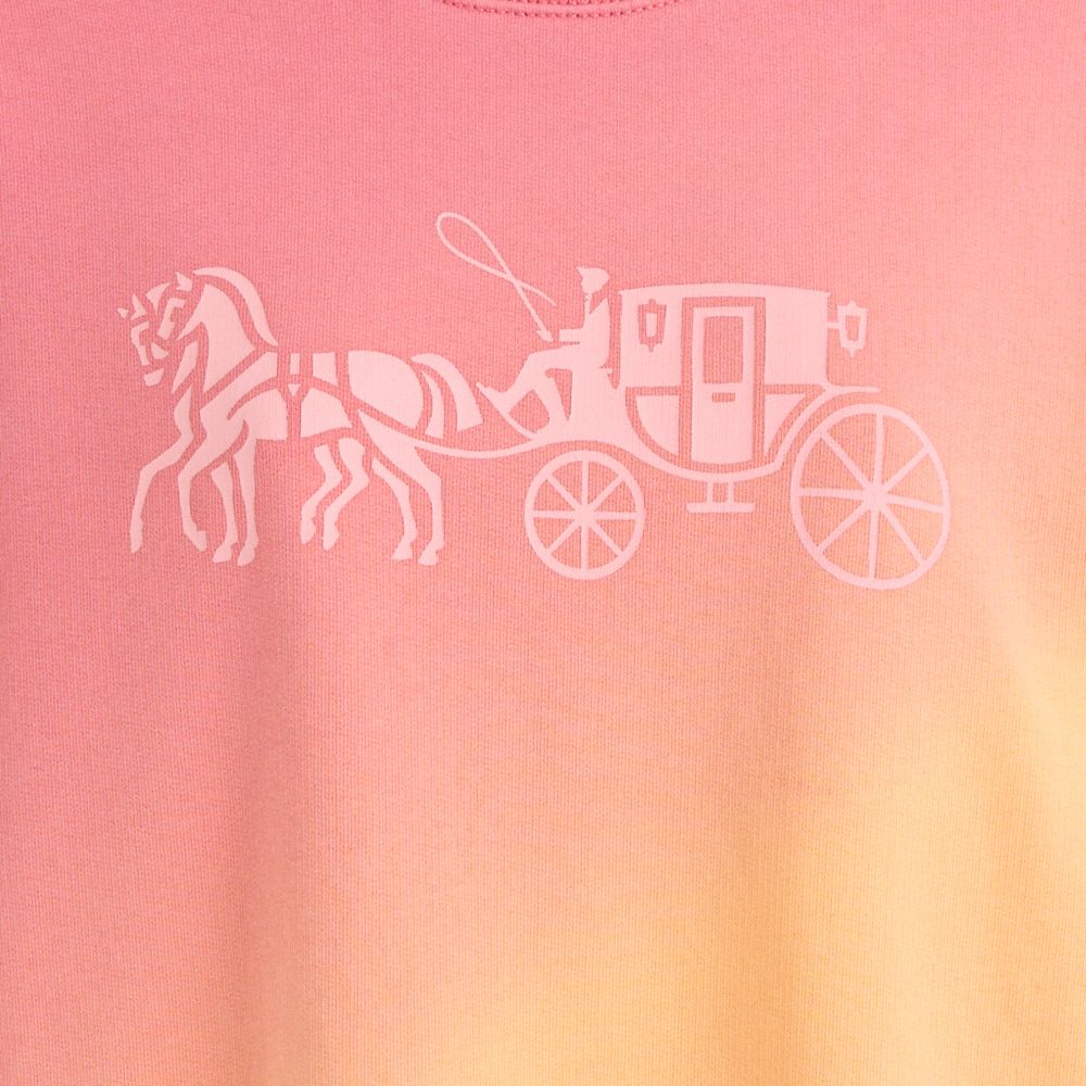 Coach Restored Ombre Horse And Carriage Crewneck In Multi