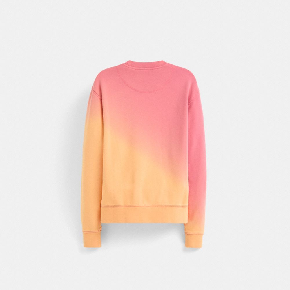 Coach Restored Ombre Horse And Carriage Crewneck In Multi