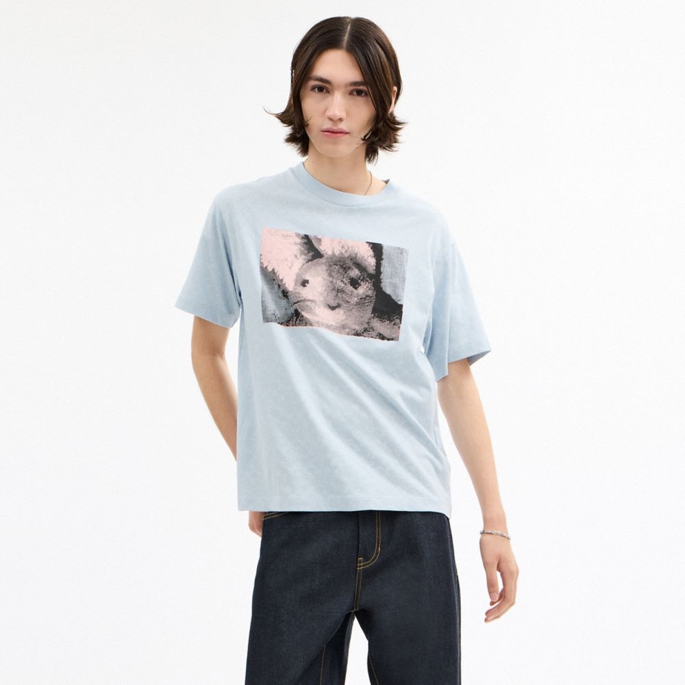 Coach Bunny Graphic Signature Relaxed T Shirt In Blue