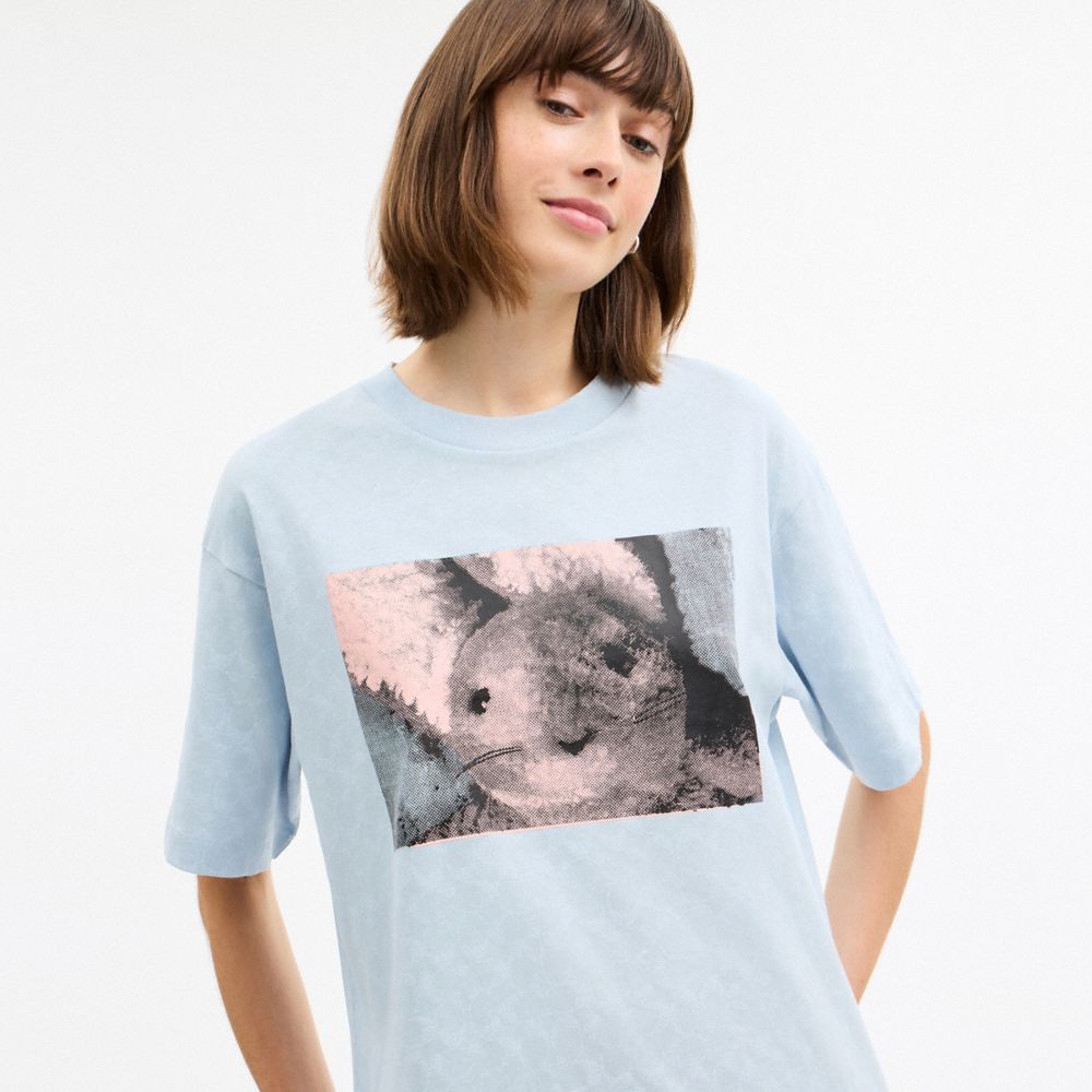 Coach Bunny Graphic Signature Relaxed T Shirt In Blue