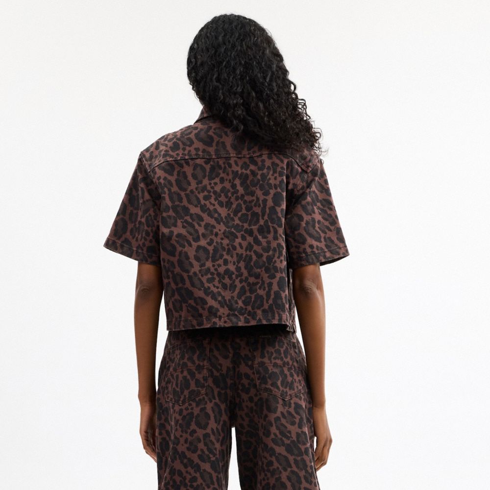 Coach Leopard Print Denim Short Sleeve Top In Organic Cotton In Brown