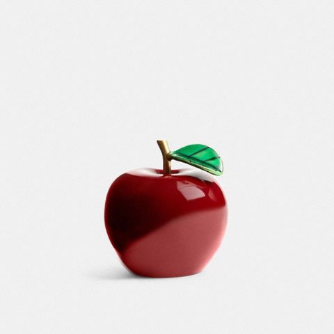 Мужские брелоки Coach Apple Shoe Charm