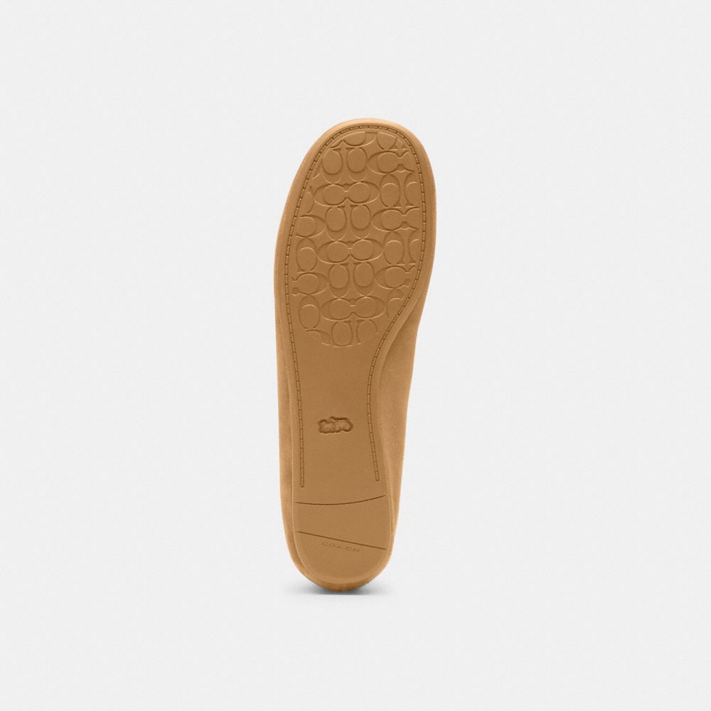 Coach Houston Ballet Flat In Brown