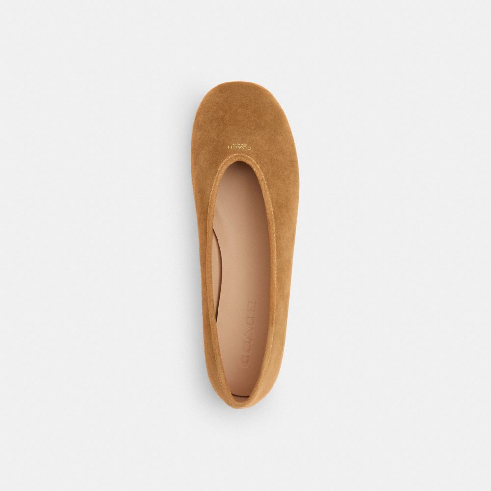 Coach Houston Ballet Flat In Brown