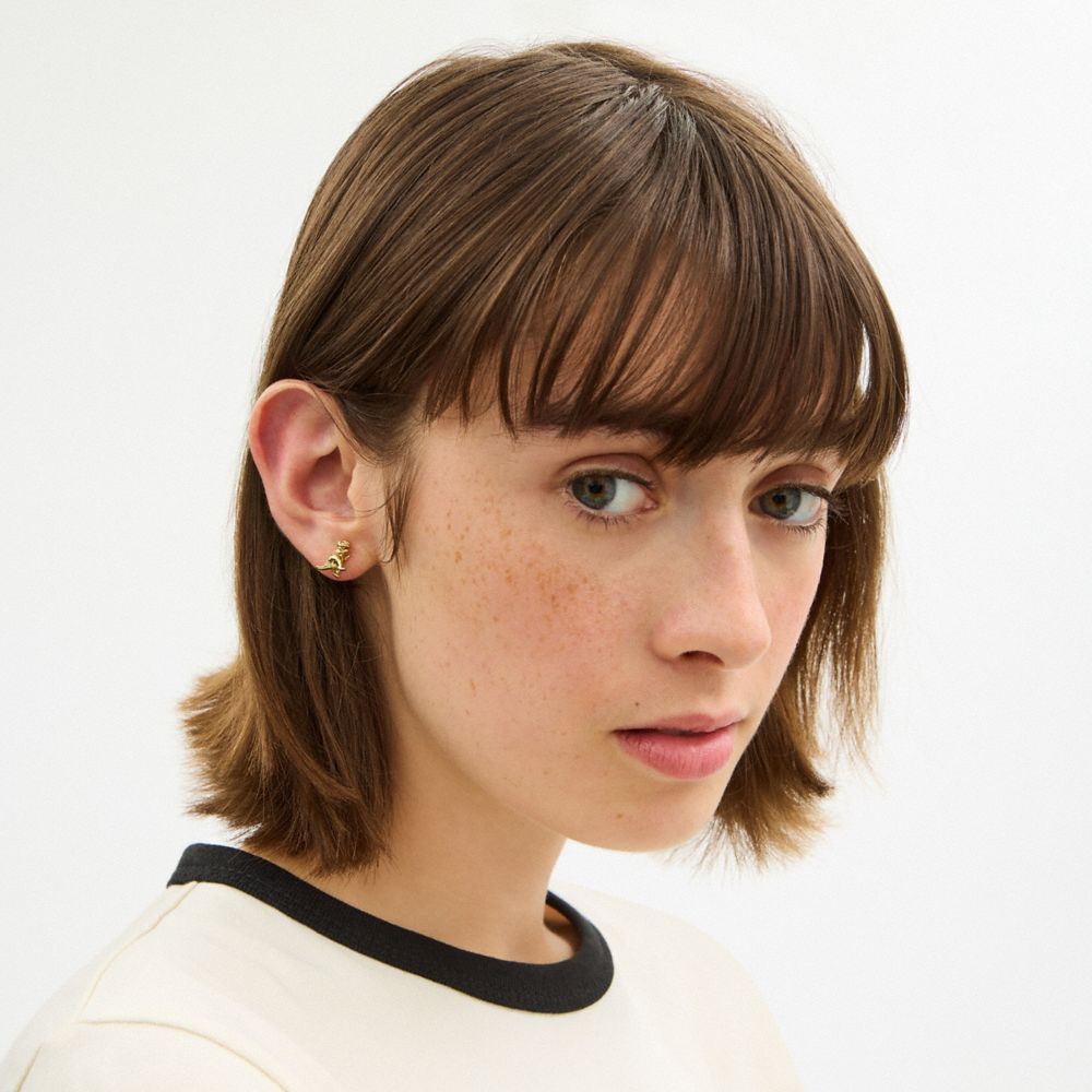 Coach Brushed Rexy Stud Earrings In Gold