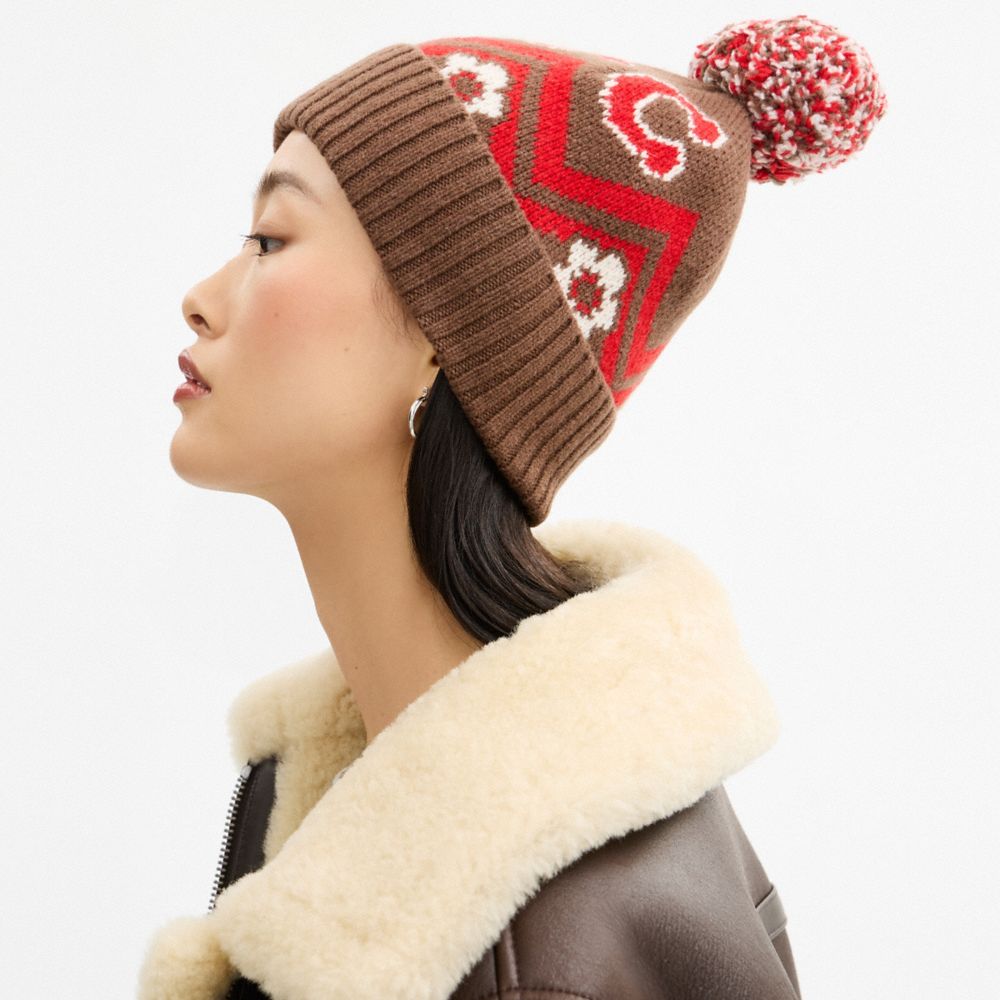 COACH®,Fair Isle Print Knit Beanie,Brown,Detail View