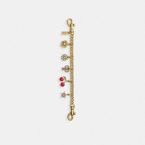 Женские брелоки Coach Crystal Motif Chain Bag Charm