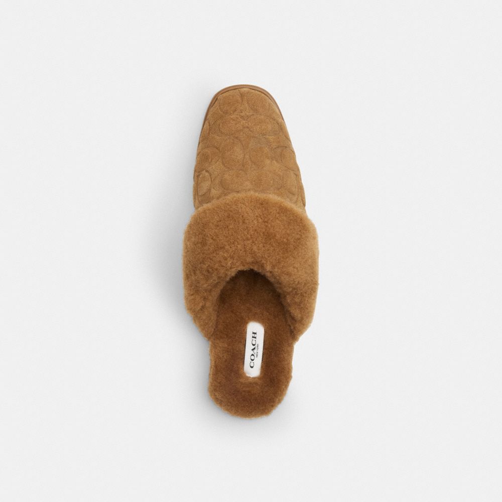 COACH®,Sherpa Flat Mule In Signature Suede,Faux Shearling,Rubber,Suede,Mules,Slippers,Fur Embellishment,Logo,Indoor,Brown,Inside View,Top View