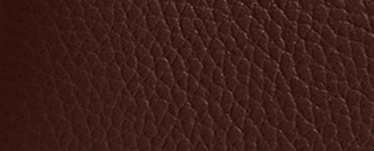 COACH&reg;,Lana Shoulder Bag 19,Leather,Shoulder Bag,Logo,Metal,Compact,Brass,Casual,Brown