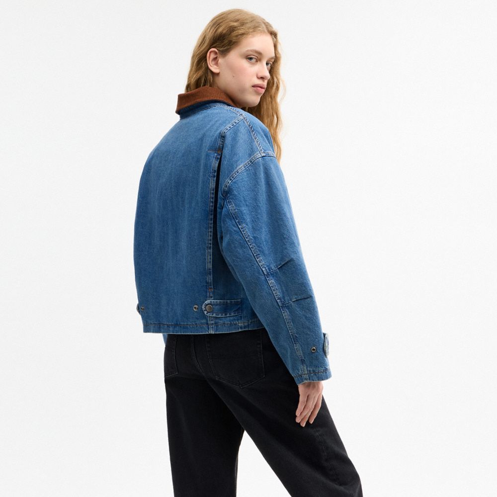 Lavaggio western,Visualizzazione in scala