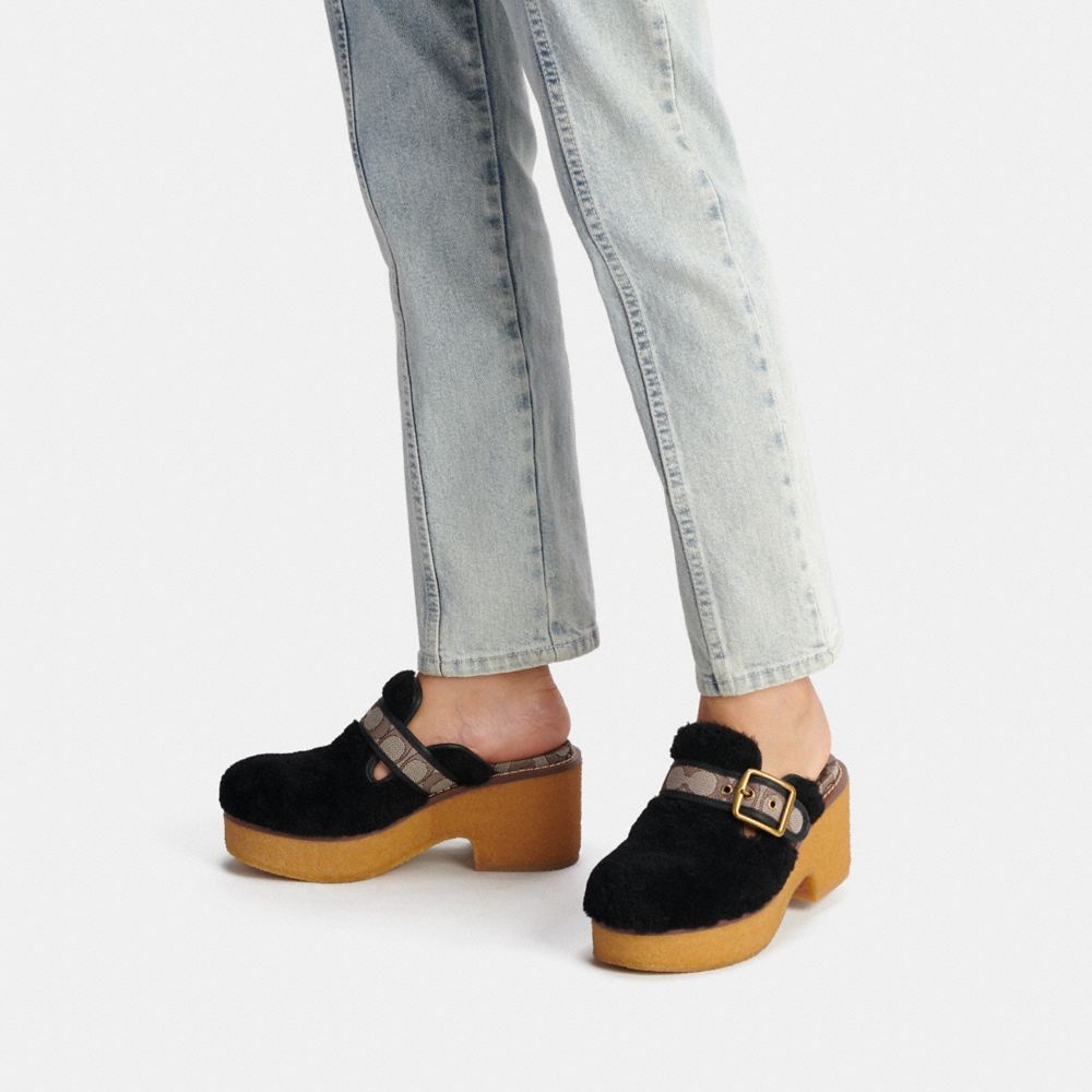 dylan clog coach