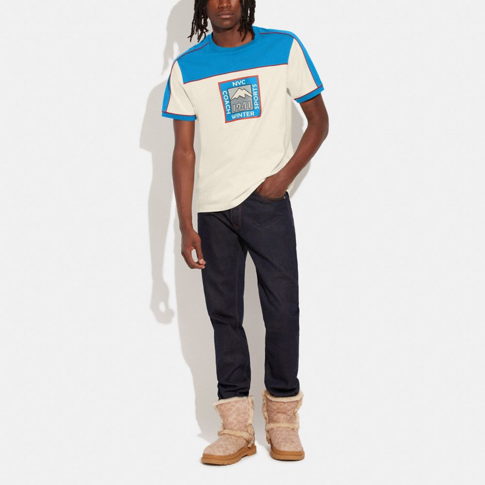 Colorblock Crewneck T Shirt In Organic Cotton