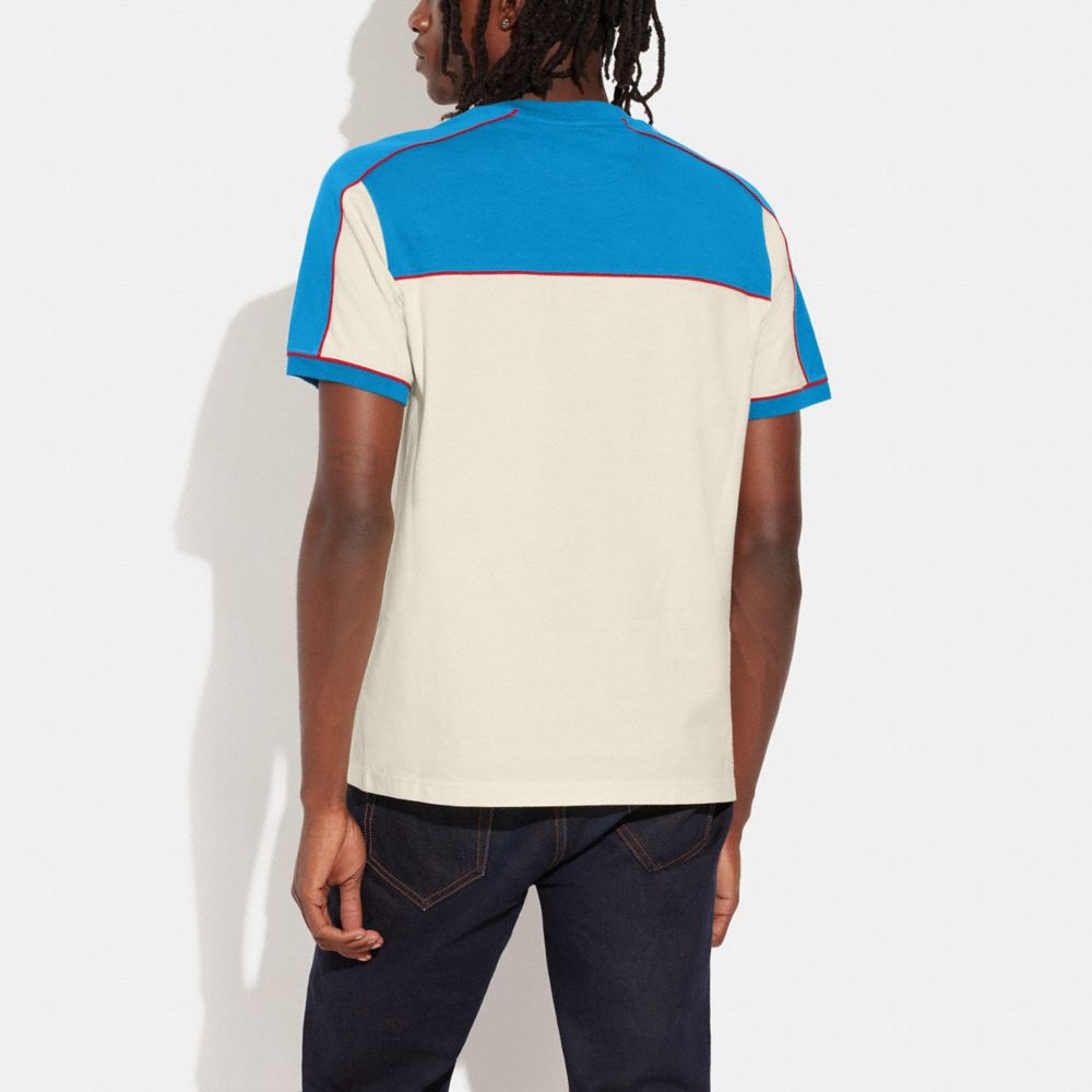 Colorblock Crewneck T Shirt In Organic Cotton