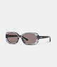 COACH®,BADGE ROUNDED SQUARE SUNGLASSES,Transparent Grey Signature,Front View