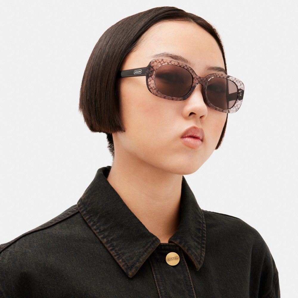 Badge Rounded Square Sunglasses