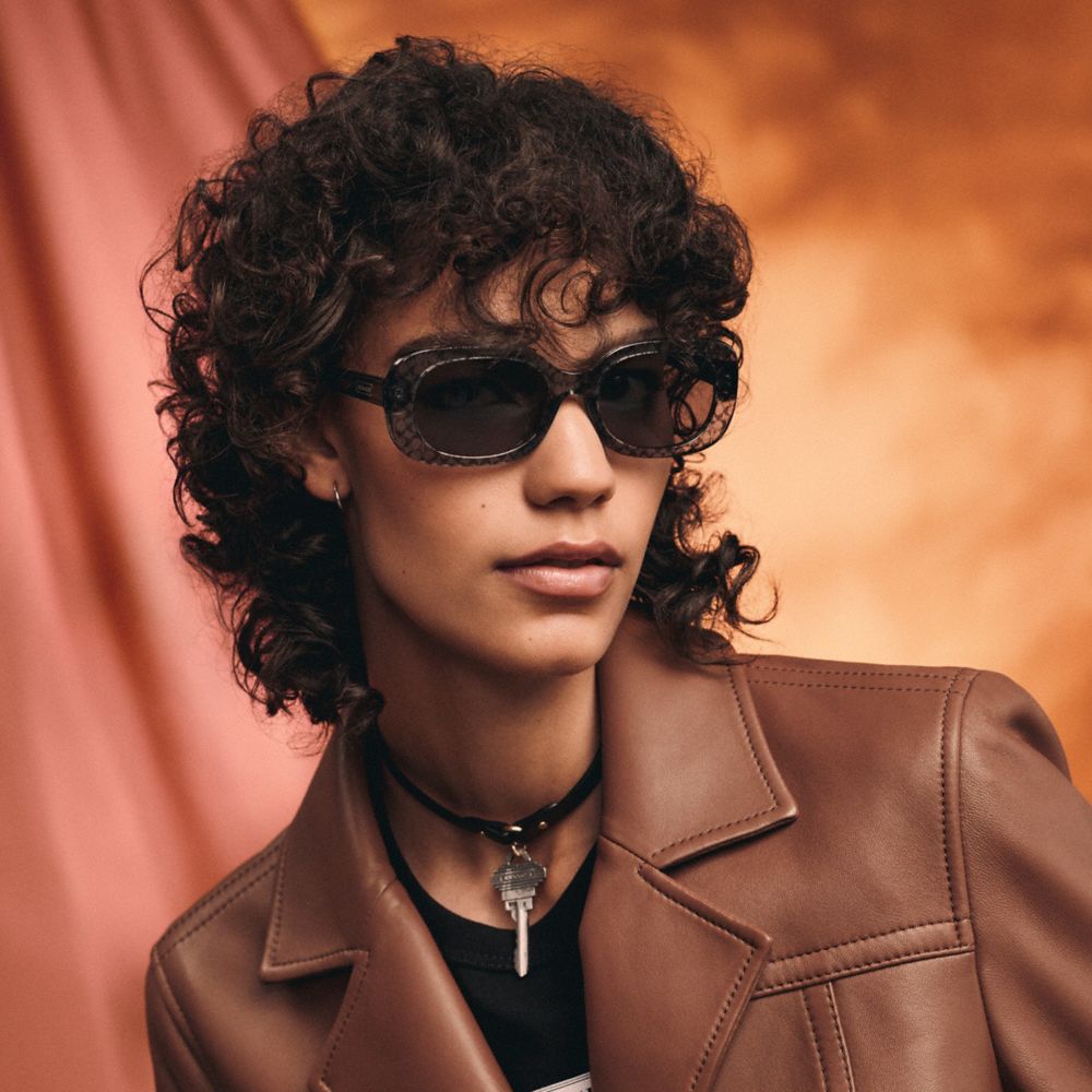 Coach denise sunglasses on sale