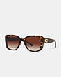 COACH®,TABBY OVERSIZED SQUARE SUNGLASSES,Dark Tortoise,Front View