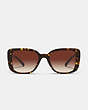 COACH®,TABBY OVERSIZED SQUARE SUNGLASSES,Dark Tortoise,Inside View,Top View
