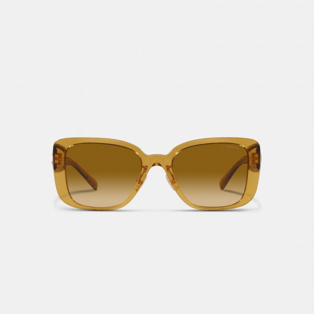 COACH®,TABBY OVERSIZED SQUARE SUNGLASSES,Transparent Honey,Inside View,Top View
