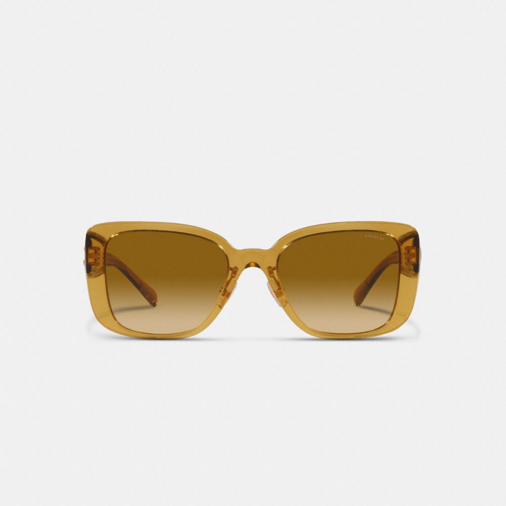 C Hardware Oversized Square Sunglasses