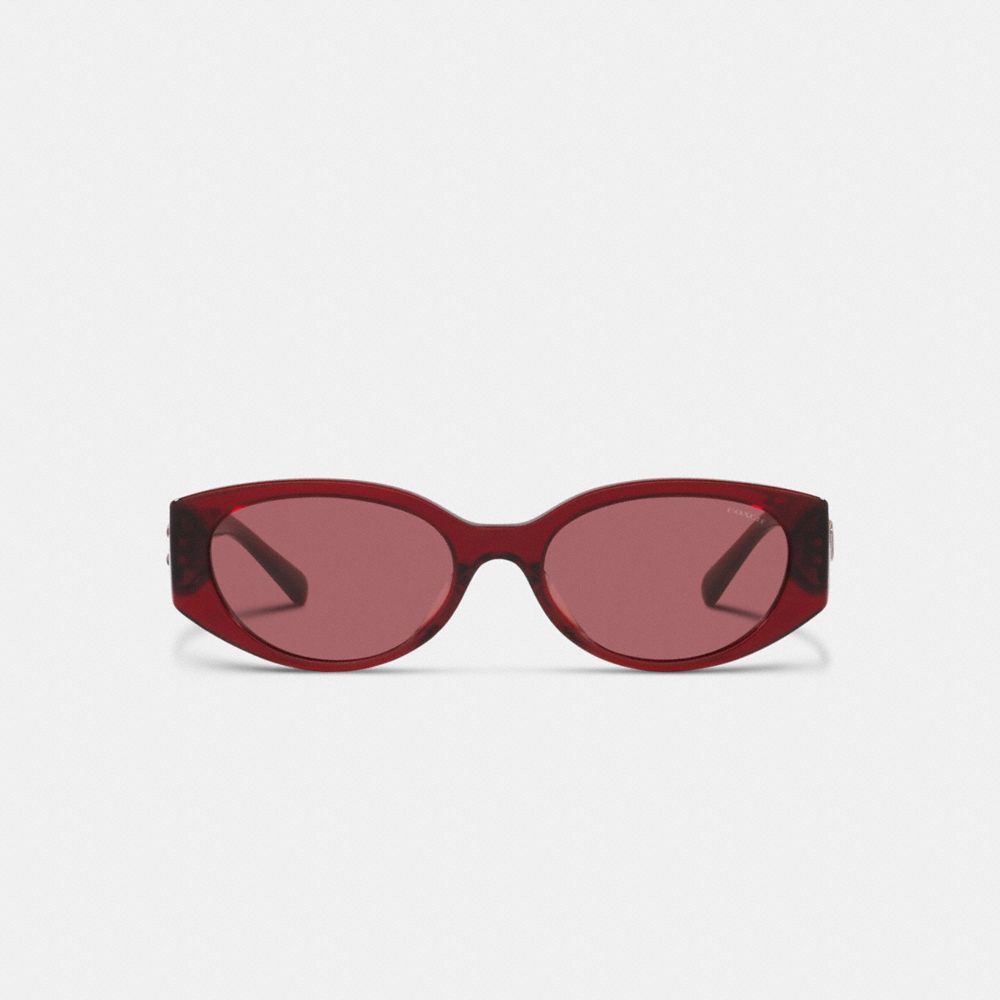 COACH®,C Hardware Rounded Sunglasses,Oval Frame,Plastic,Metal,Logo,Integrated Nose Pads,Casual,,Inside View,Top View
