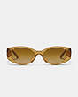 COACH®,TABBY ROUNDED SUNGLASSES,Transparent Honey,Inside View,Top View