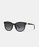 COACH®,HORSE AND CARRIAGE ROUND SUNGLASSES,Black,Front View