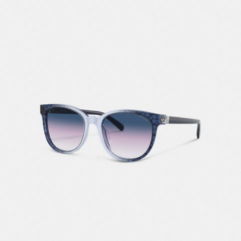 Женские солнцезащитные очки Coach Horse And Carriage Round Sunglasses