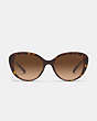 COACH®,HORSE AND CARRIAGE CAT EYE SUNGLASSES,Dark Tortoise,Inside View,Top View