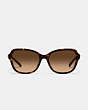 COACH®,HINGED HORSE AND CARRIAGE SQUARE SUNGLASSES,Dark Tortoise,Inside View,Top View