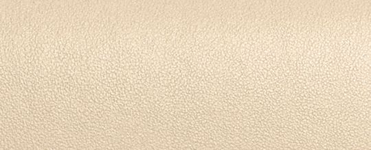 COACH®,Bandit Crossbody Bag,Leather,Crossbody,Metal,Logo,Pen Holder,Silver Metal,Casual,Beige