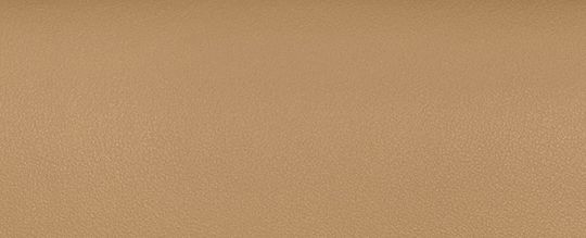 COACH®,BANDIT CROSSBODY,Leather,Mini,Brass/Tan,Front View