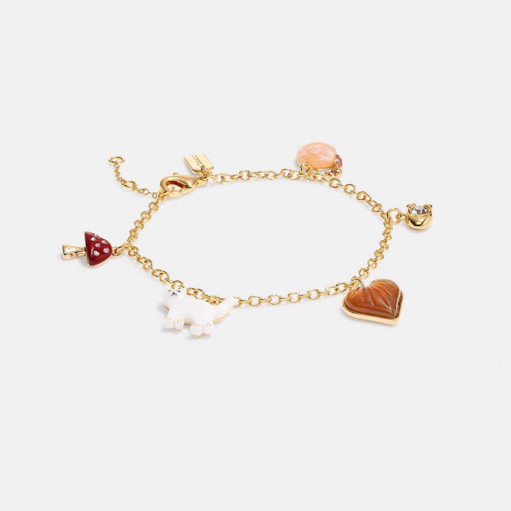 Coach bracelet with deals charms