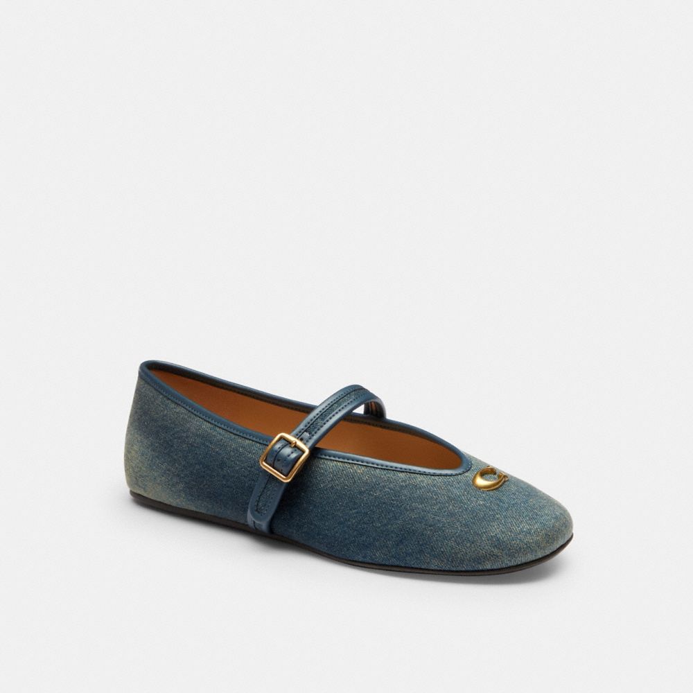 Indaco scuro,Vista frontale