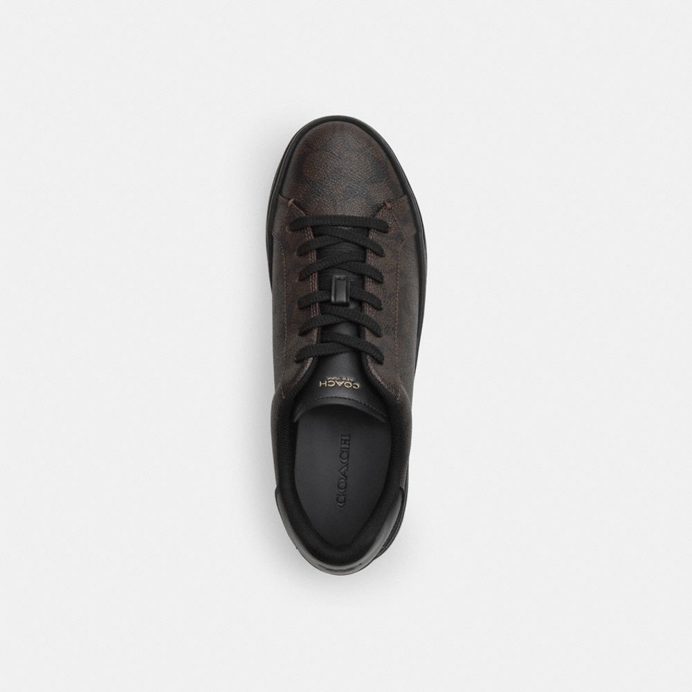 Coach High Line Sneaker In Signature Canvas In Black