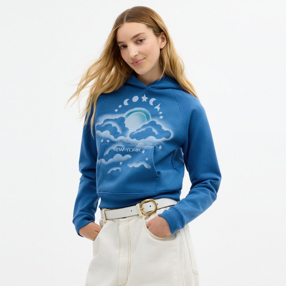 COACH®,Airbrush Hoodie,Cotton,Sweatshirt,Casual,Blue,Scale View