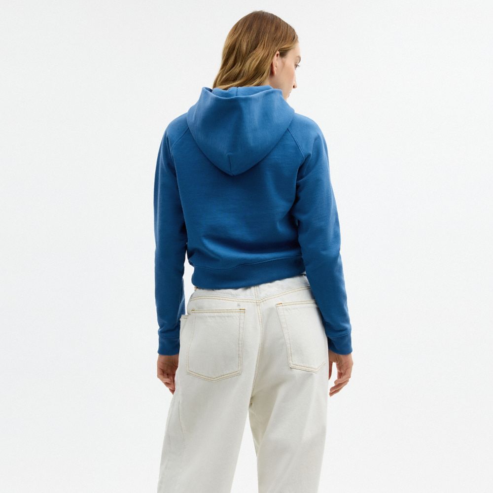 COACH®,Airbrush Hoodie,Cotton,Sweatshirt,Casual,Blue,Scale View