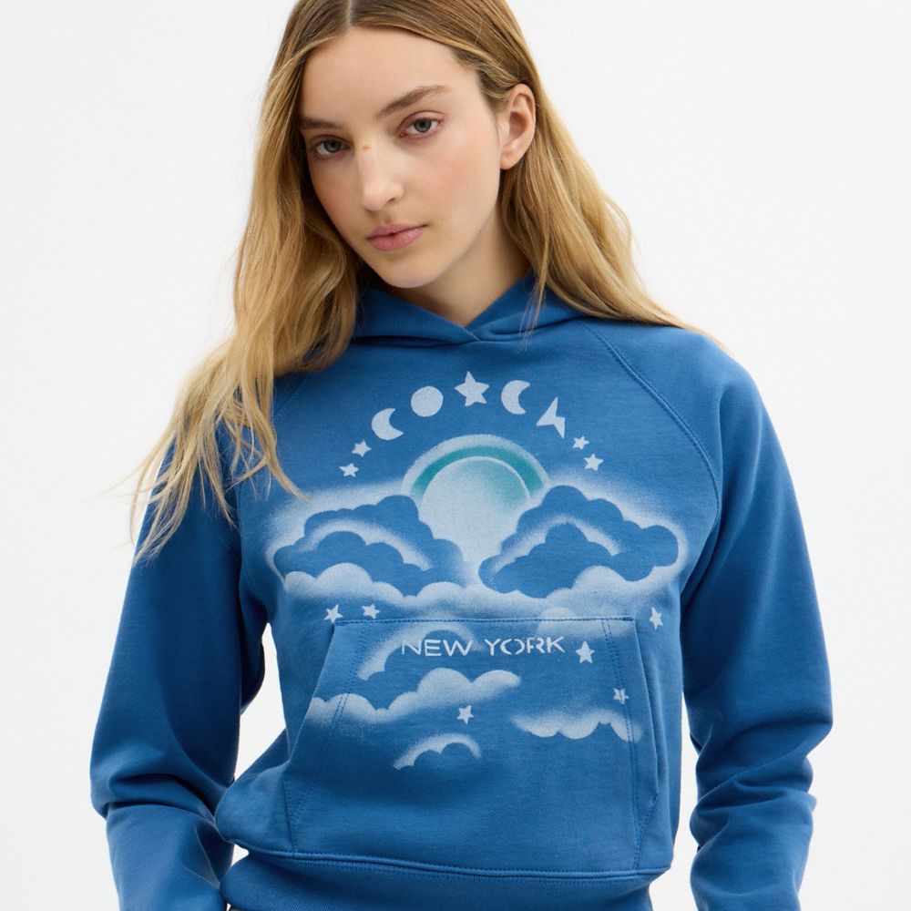 Coach Airbrush Hoodie — фото 4