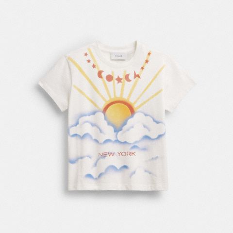 Женские футболки Coach Airbrush 90's Fit T-Shirt In Organic Cotton