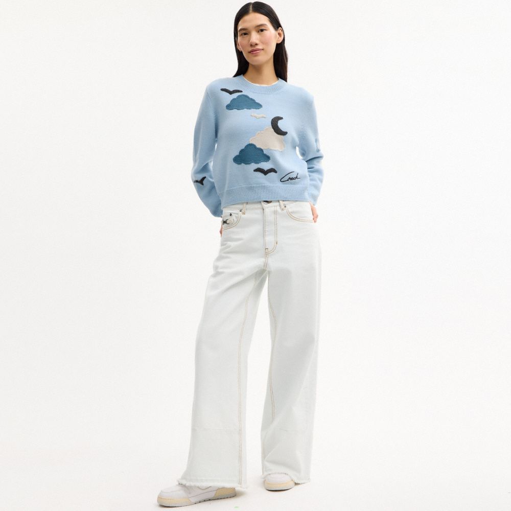 COACH®,Applique Sweater,,Scale View