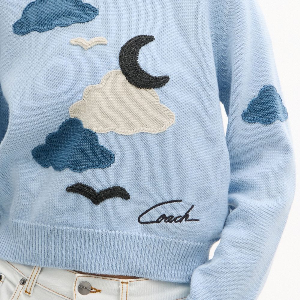 Coach Applique Sweater — фото 4
