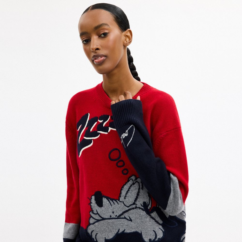 RUSSELUNO COOL TOUCH CREWNWCK ロゴ スウェット Disney X Coach Pluto Crewneck Sweater | Ready to Wear | Coach
