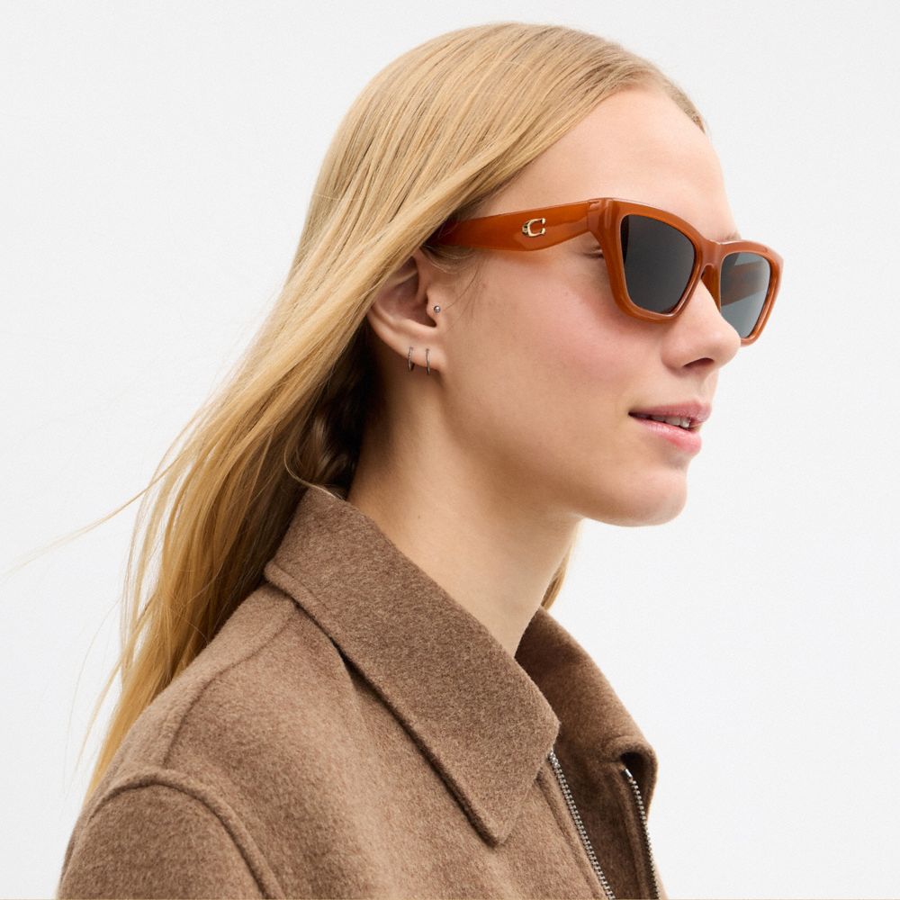 COACH®,LUNETTES DE SOLEIL ŒIL-DE-CHAT AVEC ÉLÉMENT « C »,Ambre laiteux,Detail View