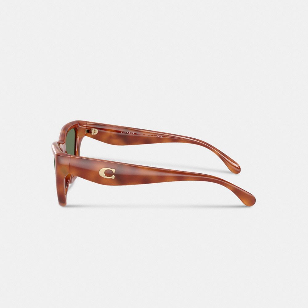 C Hardware Cat Eye Sunglasses