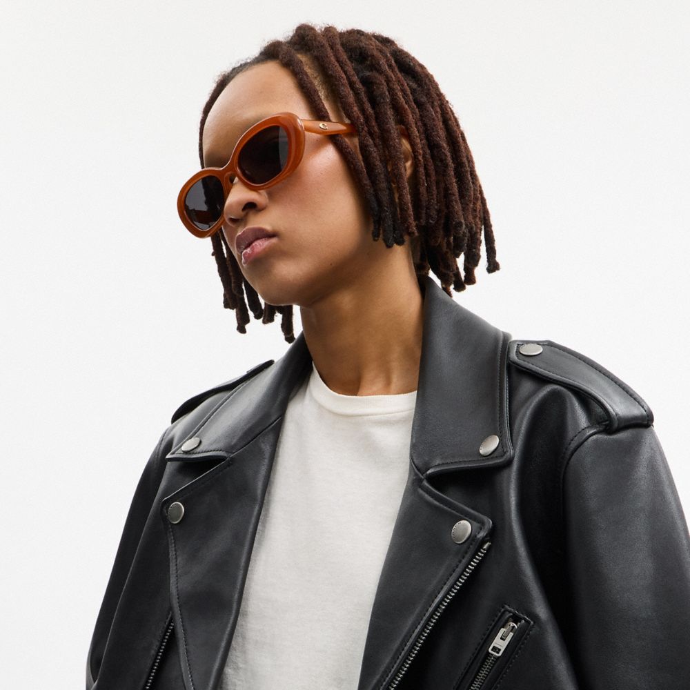 COACH®,C Hardware Round Sunglasses,Cat Eye,Logo,Integrated Nose Pads,Casual,Brown,Detail View