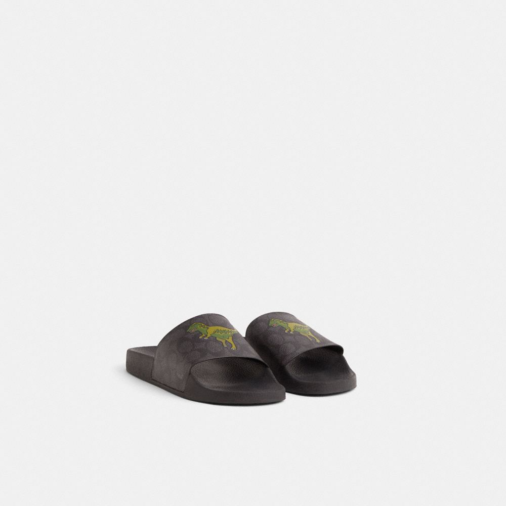 Coach Restored Slide