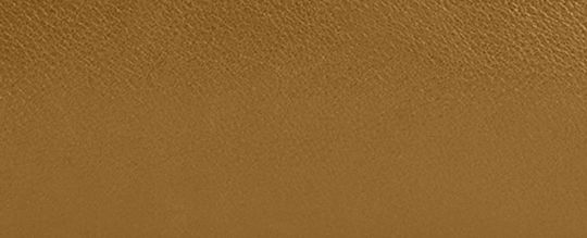 COACH®,チェルシー ショルダー バッグ 36,ショルダーバッグ,ﾌﾞﾗｽ/ﾐｭｰﾃｯﾄﾞ ｵﾘｰﾌﾞ