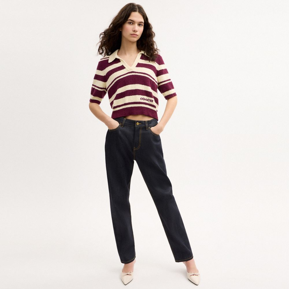COACH®,Striped Knit Polo,,Scale View