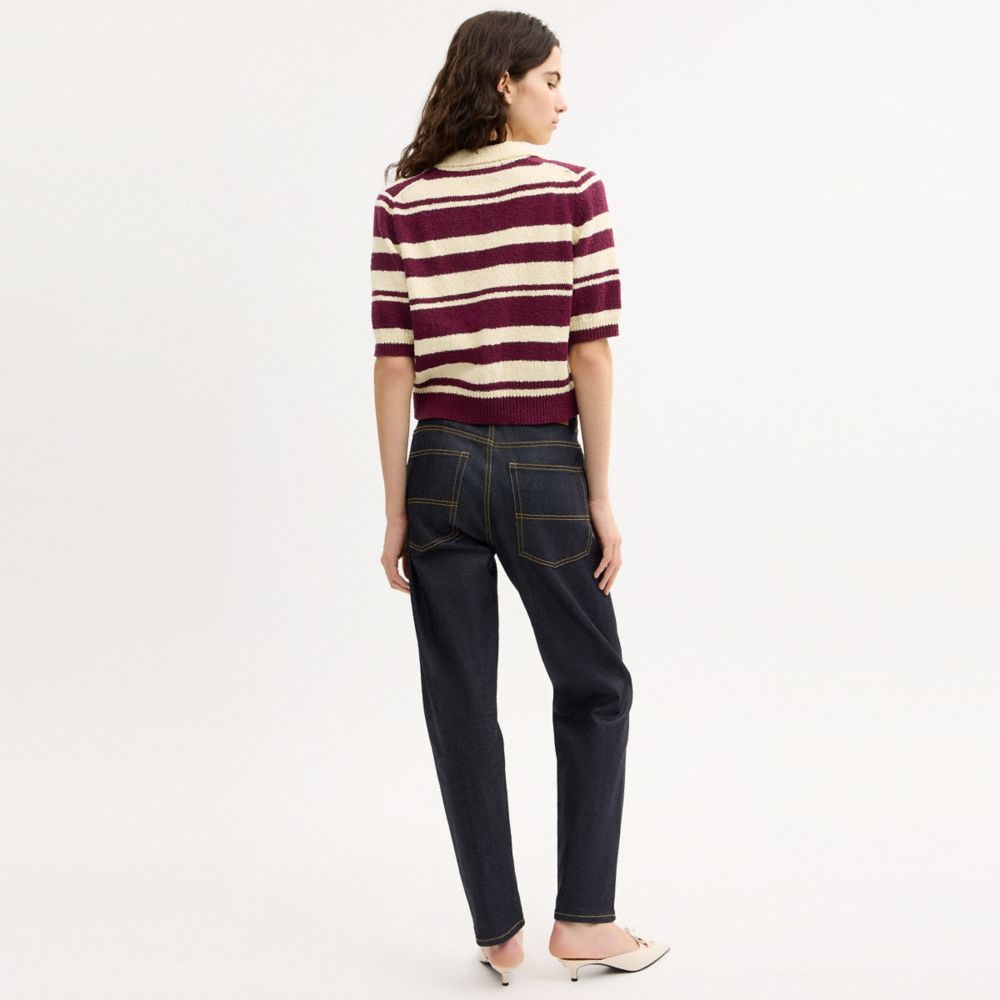 COACH®,Striped Knit Polo,,Scale View